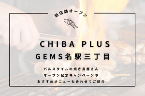 CHIBA PLUS